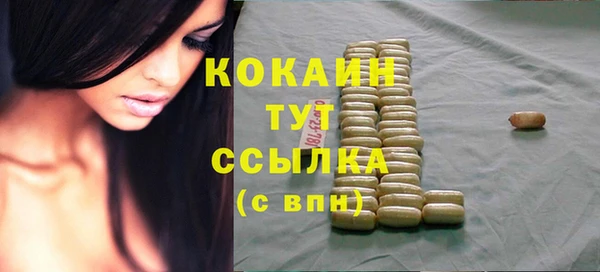 ECSTASY Михайлов