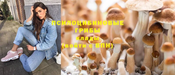 эйфоретик Михайловск