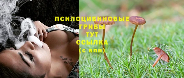 соль курить ск Михайловка